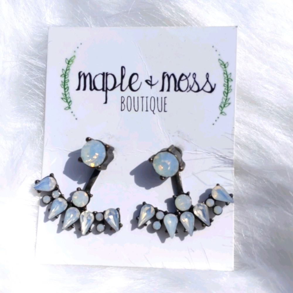 Earrings BNWT